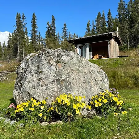 Liaplassen Tommerhytte Beitostolen